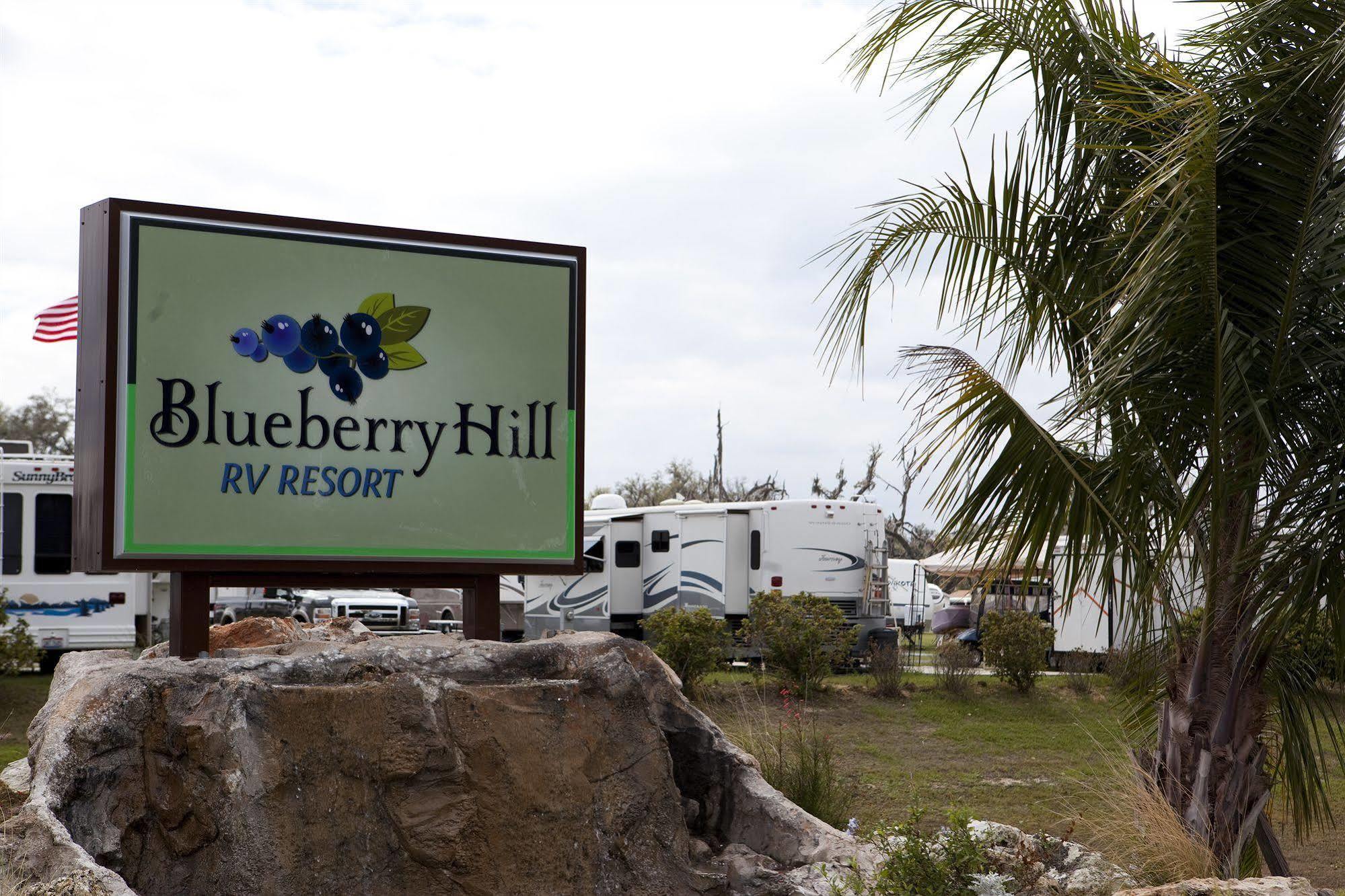 Вілла Blueberry Hill Бушнелл Екстер'єр фото